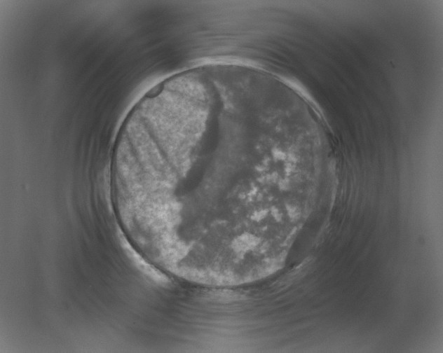 X0000080761100200701122023