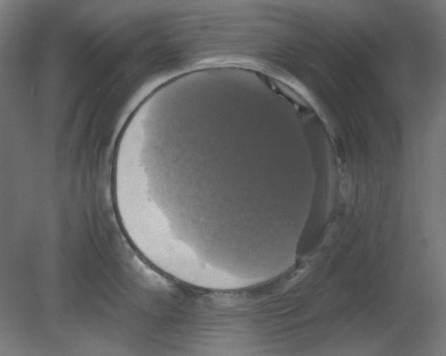 X0000080761102200701122023