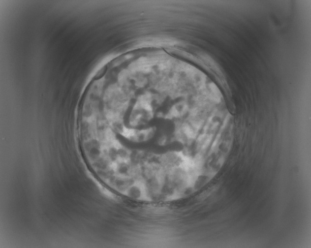 X0000080761103200701122023