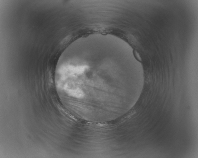 X0000080761106200701122022