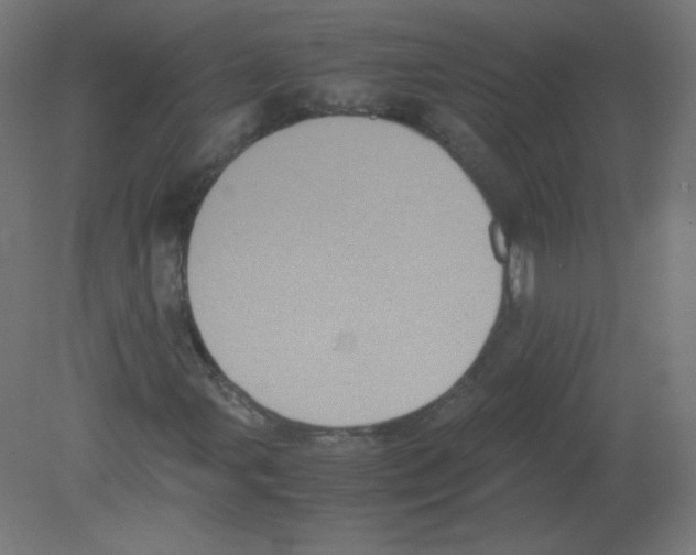 X0000080761107200701122022