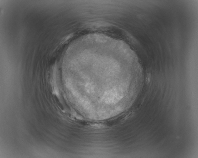 X0000080761108200701122022