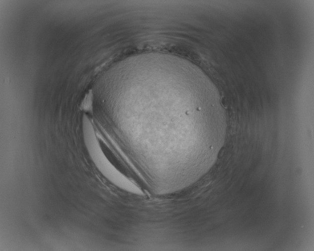 X0000080761109200701122022