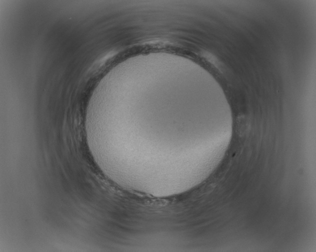 X0000080761111200701122022