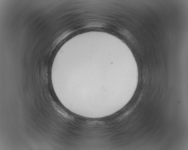 X0000080761113200701122022