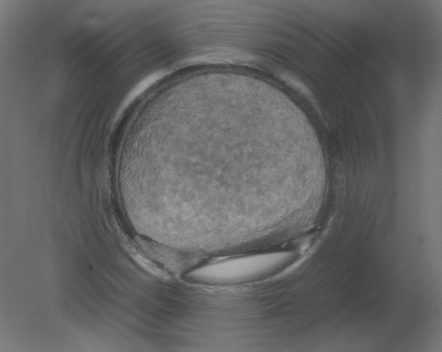 X0000080761114200701122022