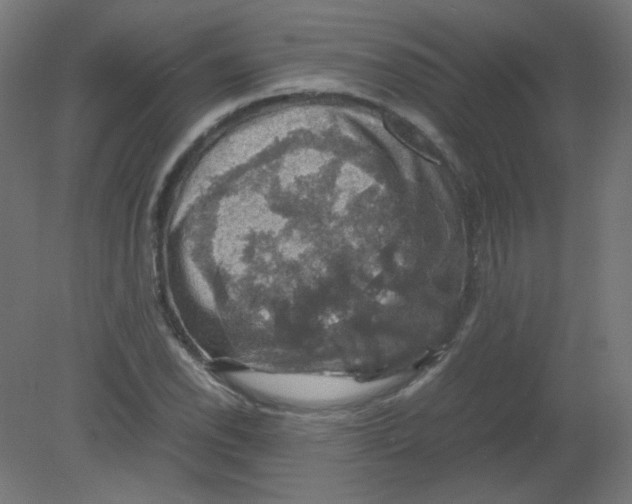 X0000080761118200701122022