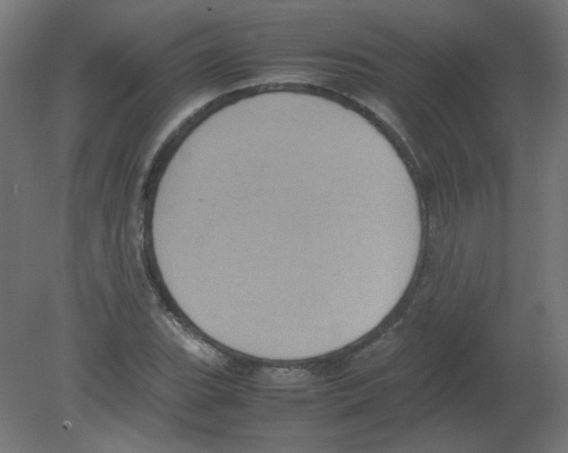 X0000080761119200701122022