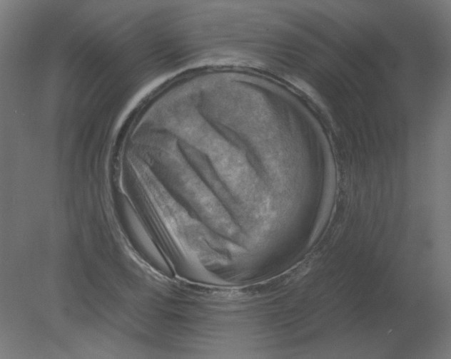 X0000080761120200701122022