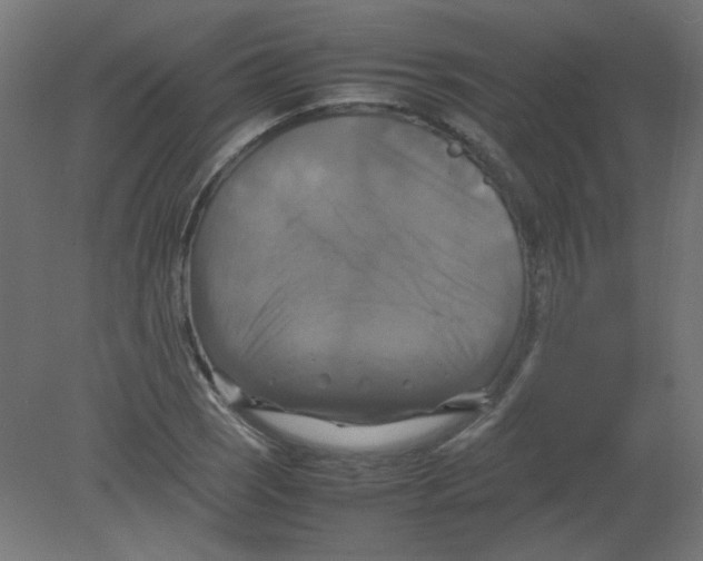 X0000080761121200701122022