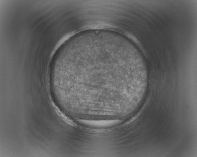 X0000080761122200701122022