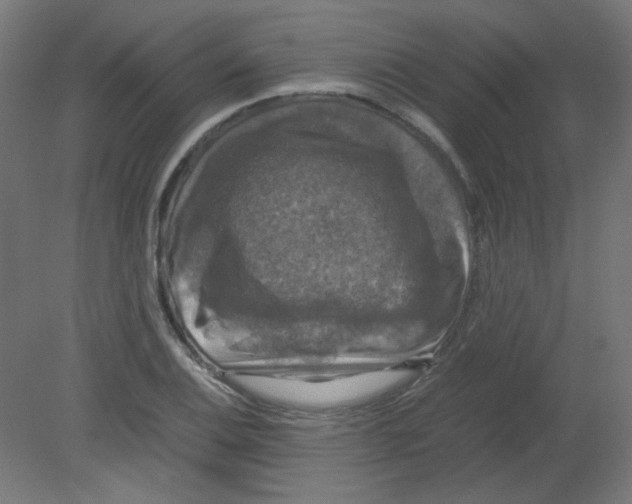 X0000080761124200701122022
