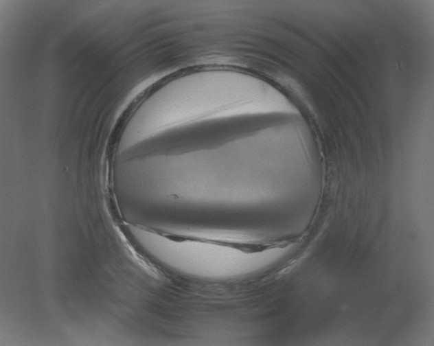 X0000080761125200701122022