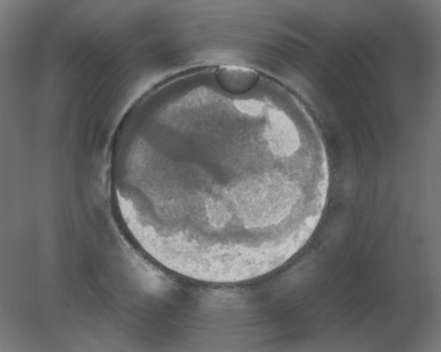 X0000080761126200701122022