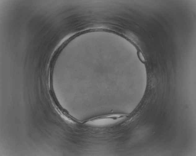 X0000080761127200701122022