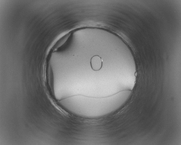 X0000080761128200701122022