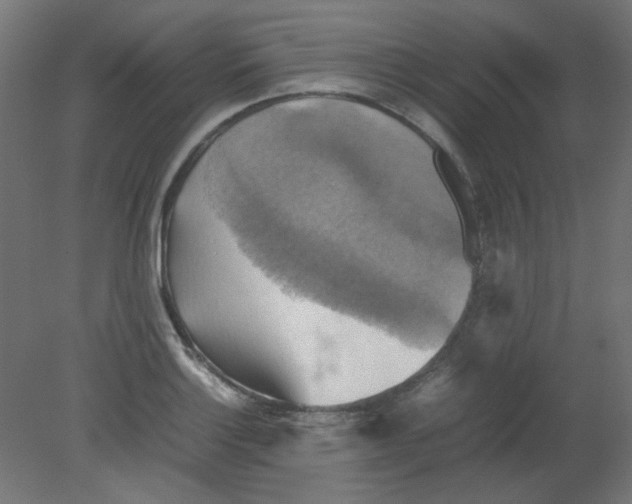 X0000080761132200701122022