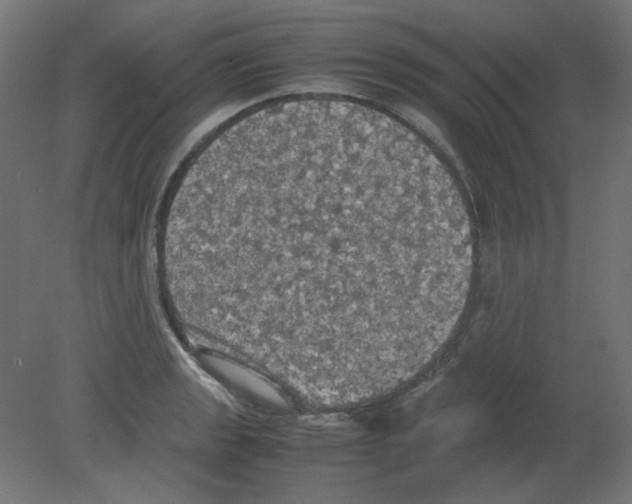 X0000080761133200701122022