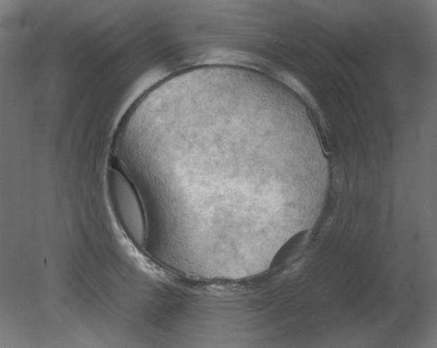 X0000080761138200701122022
