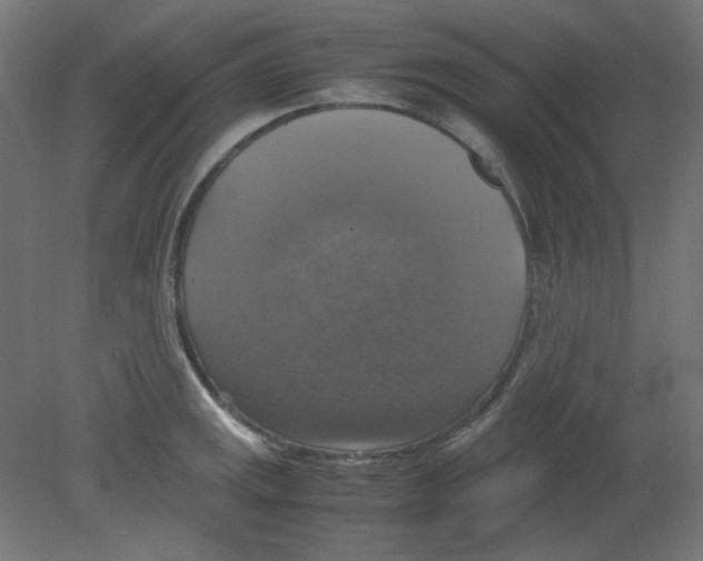 X0000080761141200701122022