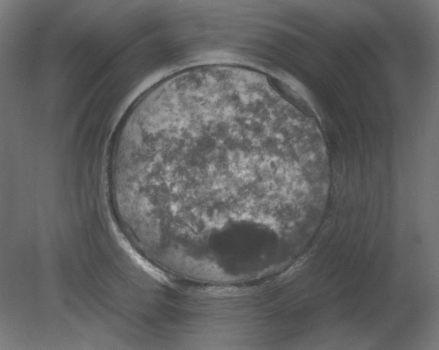 X0000080761142200701122022