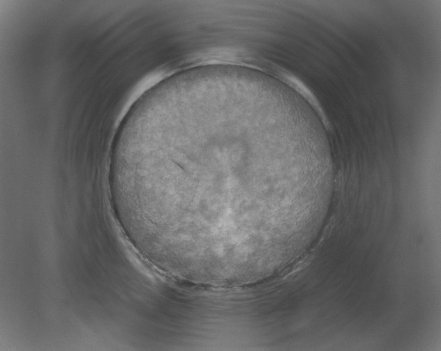 X0000080761146200701122022