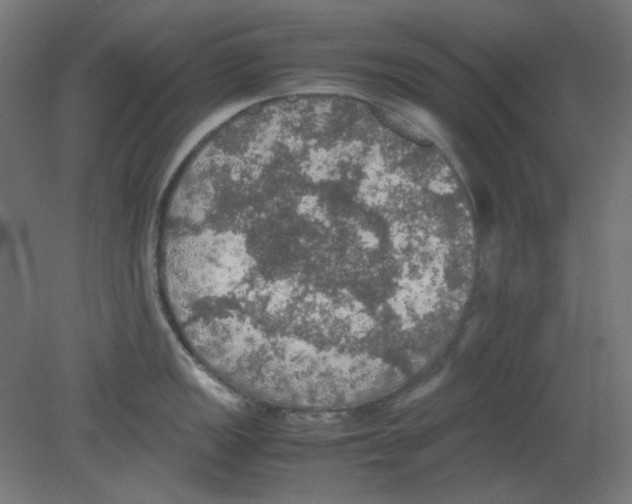 X0000080761149200701122022