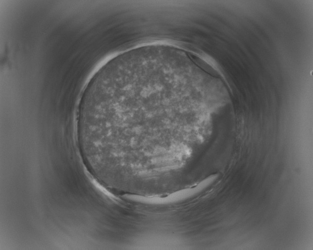 X0000080761151200701122022