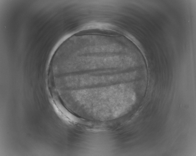 X0000080761152200701122023
