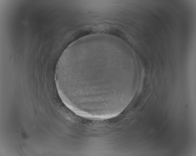 X0000080761153200701122022