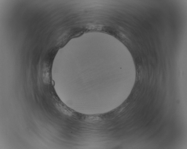 X0000080761154200701122022