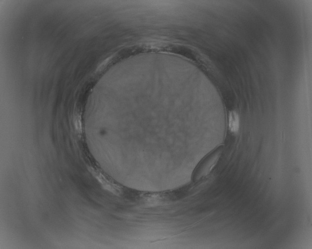 X0000080761155200701122022