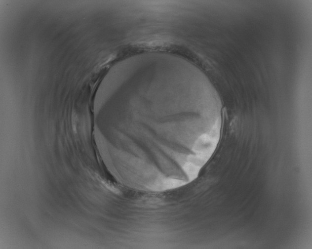 X0000080761156200701122022