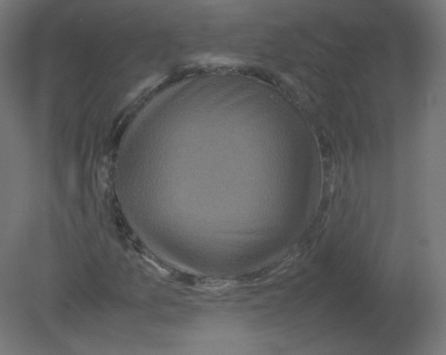 X0000080761157200701122022