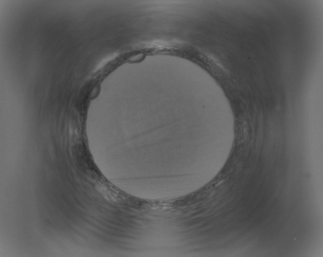 X0000080761158200701122022