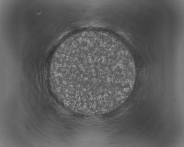 X0000080761159200701122022