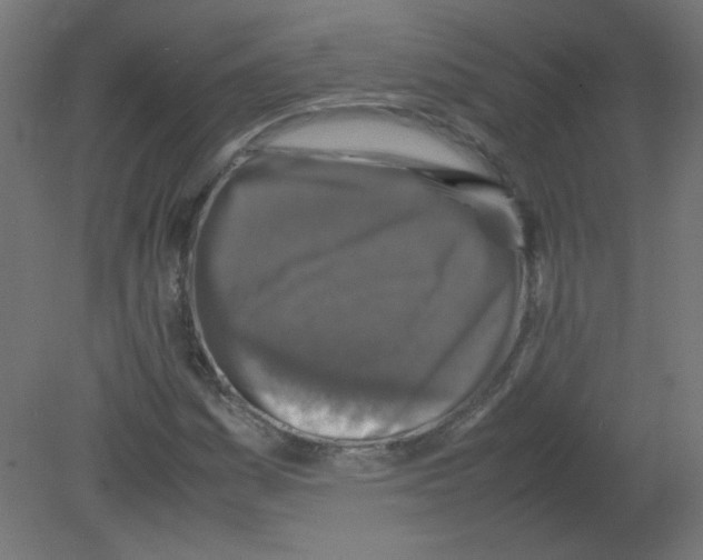 X0000080761161200701122022