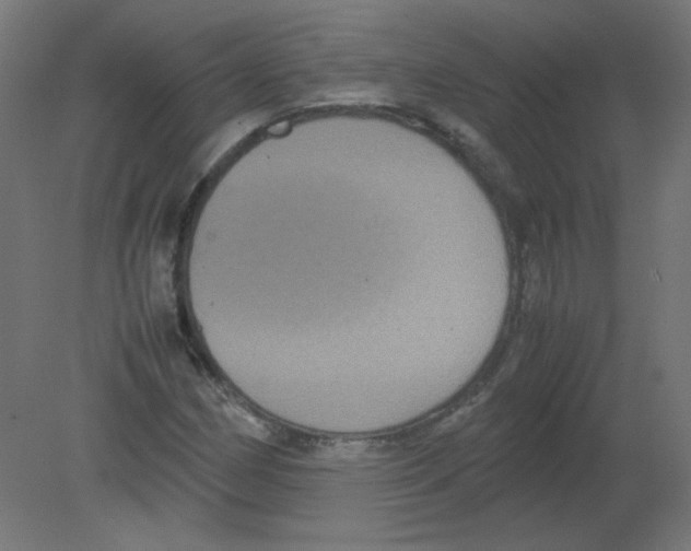 X0000080761162200701122022