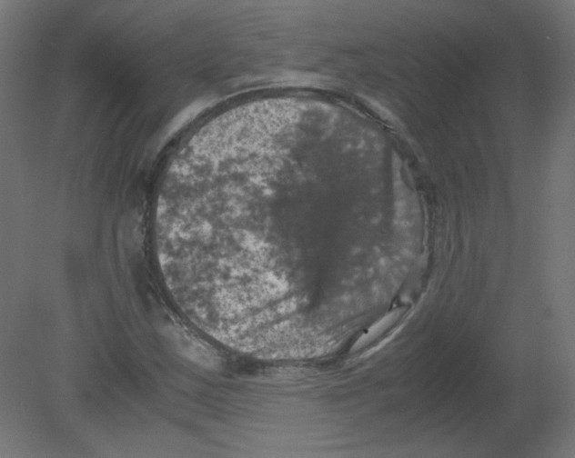 X0000080761163200701122022