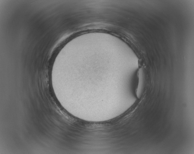 X0000080761164200701122022