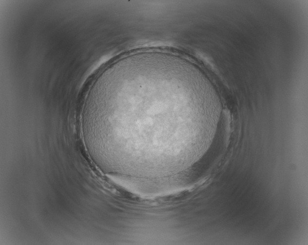 X0000080761165200701122021