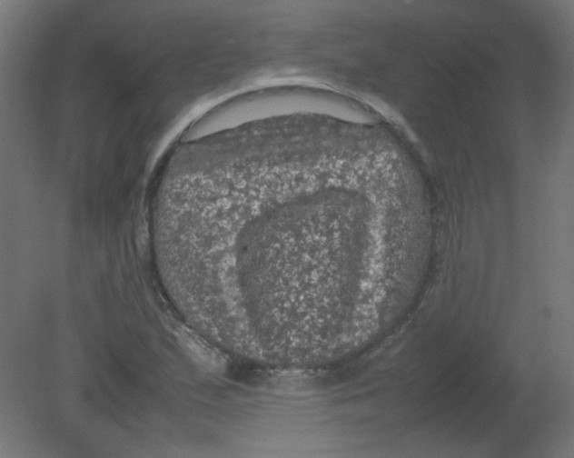 X0000080761167200701122021