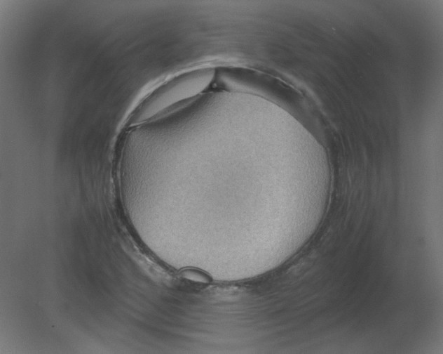 X0000080761168200701122021