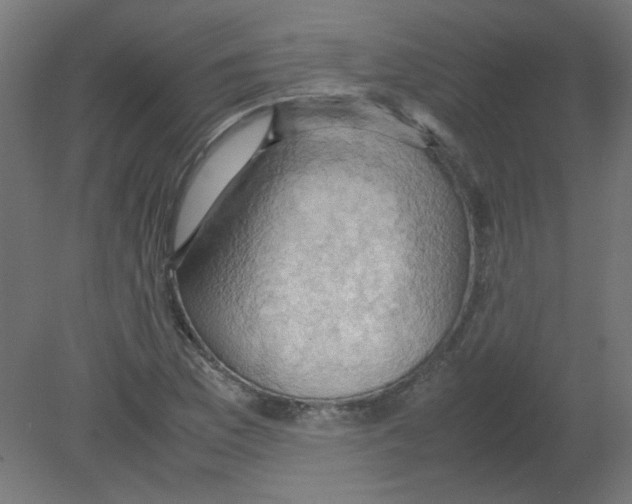 X0000080761169200701122021