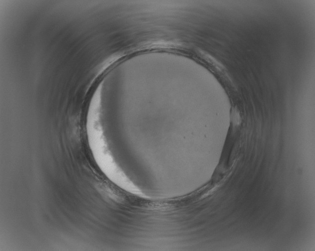 X0000080761170200701122021