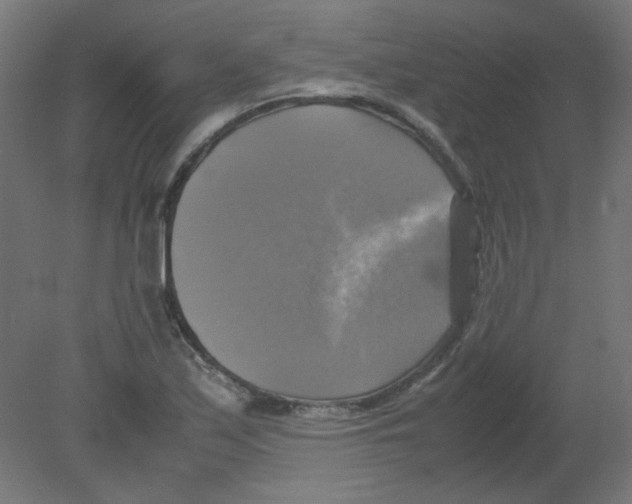 X0000080761171200701122021