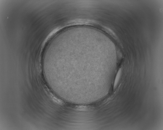 X0000080761172200701122021