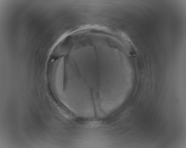 X0000080761173200701122021