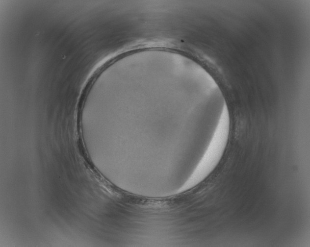 X0000080761174200701122021