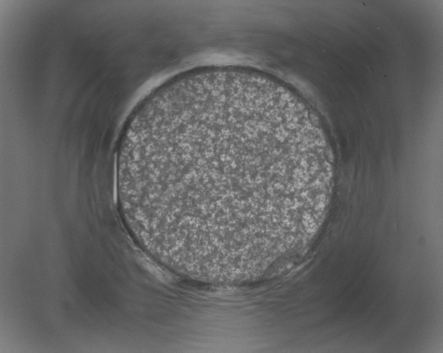 X0000080761175200701122021